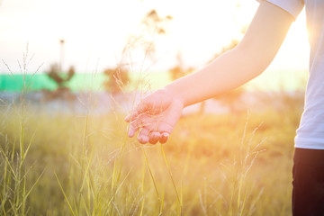 Women hand touching green grass at meadows