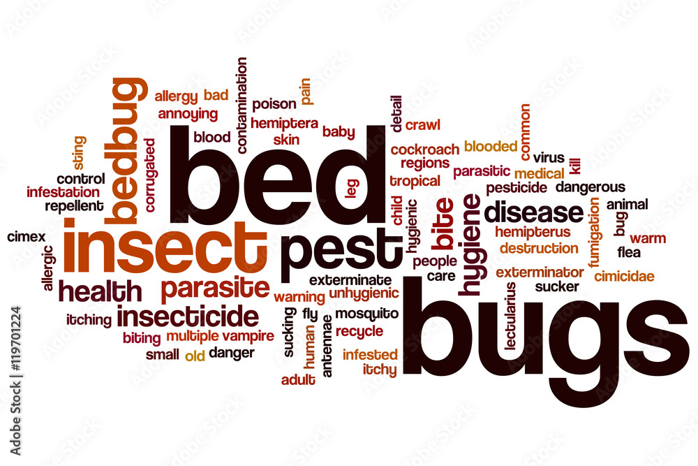 Poster bed bugs word cloud