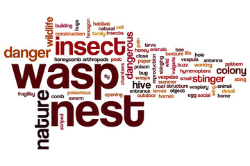 Wasp nest word cloud
