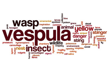 Vespula word cloud