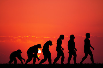 Human evolution - obrazy, fototapety, plakaty