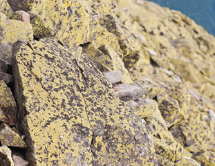 Background of stone. Natural stone.