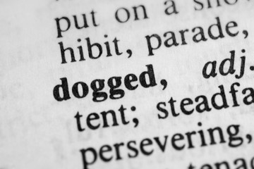 Obraz premium Dogged