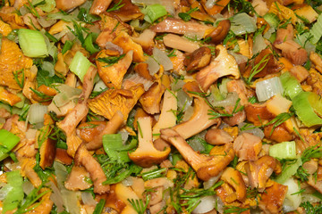 Roasted mushrooms with onion and dill. Culinary delicacy.