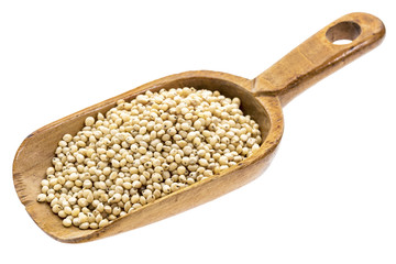 rustic scoop of sorghum grain