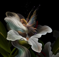 фея и цветок