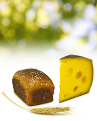 image of a glass of milk, bread on the board, wheat and cheese closeup