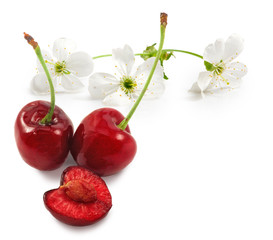 Isolated image of cherries closeup