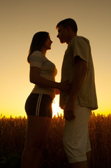 Silhouettes of couple in wheat field at summer sunset.