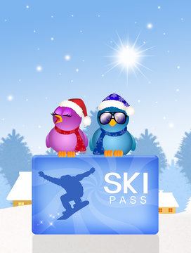 funny illustration of skipass