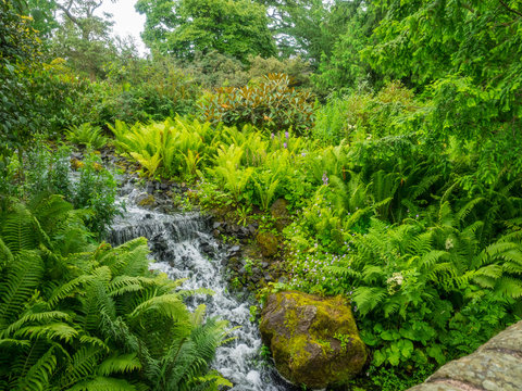 Royal Botanic Garden Edinburgh