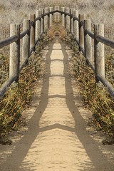 Obraz premium sandy walkway with wooden fence and summer sunlight