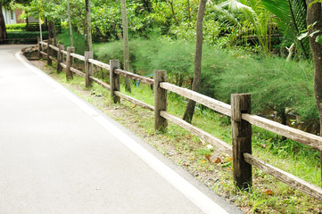 Walkway and wooden fence in Mangrove nature trail.