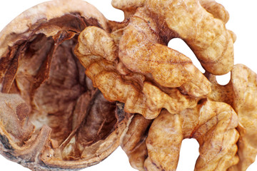 Walnut and nutshell taken closeup on white.