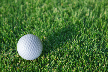 Golf ball ready to be hit on the green grass.