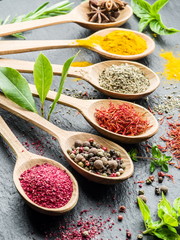 Assortment of colorful spices in the wooden spoons.