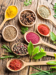 Assortment of colorful spices in the wooden spoons.
