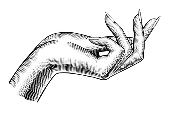 Pencil Painted Sketch Drawing Of A Human Female Hand Showing Different  Gestures Stock Photo, Picture and Royalty Free Image. Image 146928562.