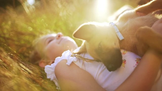 Beautiful children lying on grass, stroking, playing, walking with puppies in park at sunset. Slow motion.