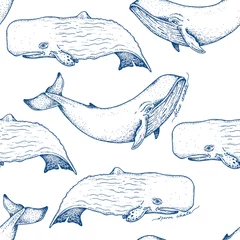 Garden poster Ocean animals Big blue and sperm whales - vector hand drawn seamless pattern design. Huge swimming aquatic mammal ink sketch