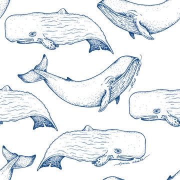Big blue and sperm whales - vector hand drawn seamless pattern design. Huge swimming aquatic mammal ink sketch