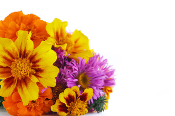 bouquet of autumn flowers