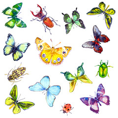 Seamless Pattern Hand painted Isolated Watercolor Illustration Colorful Butterflies and Bugs