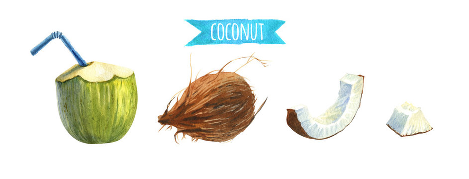 Coconut set, watercolor illustration with clipping paths