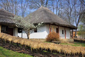 Fototapeta na wymiar Old traditional Romanian house in springtime