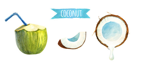 Coconut set, watercolor illustration with clipping paths