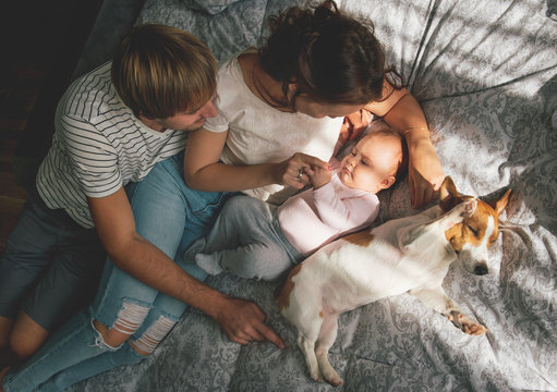 Happy family with cute baby playing in bed at home. Dog slipping near.