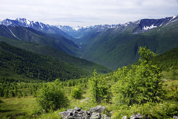 Alpine landscape in Altai Mountains, Siberia, Russian Federation