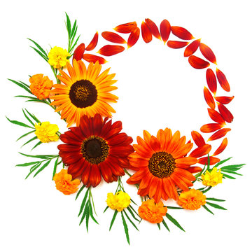 Wreath frame with red sunflowers isolated on white background. 