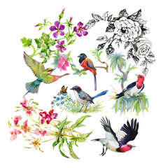 Obraz premium Watercolor hand drawn pattern with summer flowers and exotic birds.
