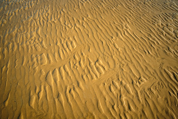 Rippled sand
