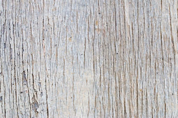Fototapeta premium wood texture. background old panels
