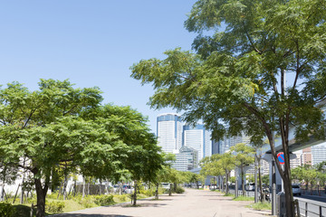 Fototapeta premium 豊洲 再開発地区 新豊洲駅前から 晴海月島方面の高層マンションを望む 緑道 公園