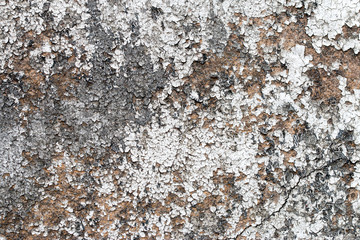 white concrete wall texture