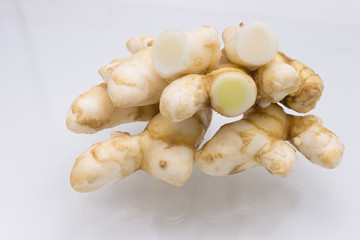 White Turmeric isolated on white