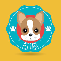 dog pet care icon vector illustration icon eps 10