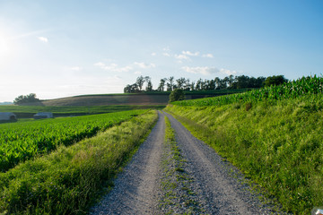 Road Cutting Through Farmland In Southern Pennsylvania Before a Storm 