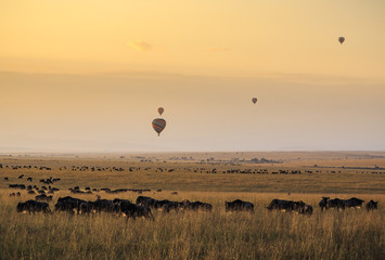 Balloons over the Masai Mara at Sunrise