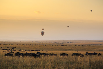 Fototapeta premium Balloons over the Masai Mara at Sunrise