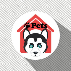 dog pets house icon vector illustration icon eps 10