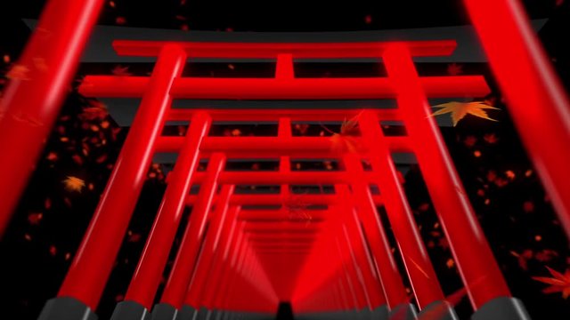 紅葉 鳥居 神道 黒背景 ループ