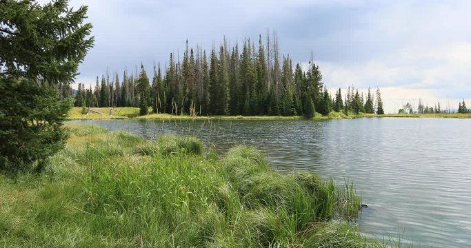High mountain lake shore forest grass along water. Beautiful clear water mountain lake. Nature in natural environment. Recreation, hiking, and fishing ponds. Potter's Pond. Campground destination.