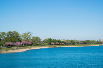 Landscape of Druid Park in Baltimore, Maryland