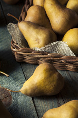 Raw Organic Green and Brown Bosc Pears