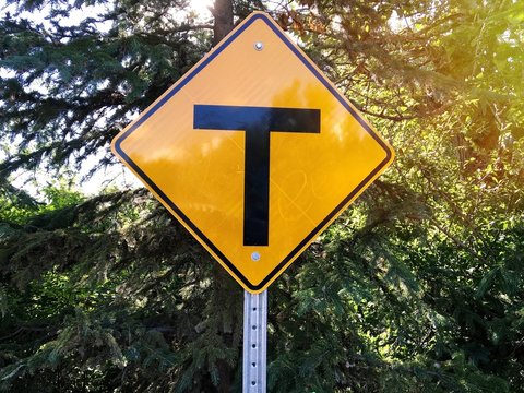 T Intersection Sign On Tree Background In The Park