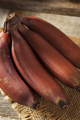 Raw Organic Red Bananas